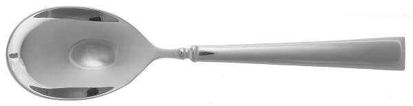 Endeavor (Stainless) Sugar Spoon