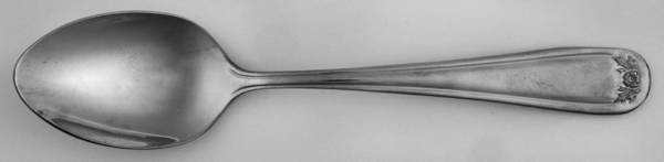 Devon Green (Stainless) Teaspoon