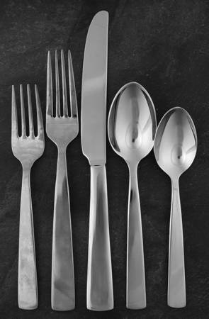 Elan (Stainless) 5 Piece Place Setting
