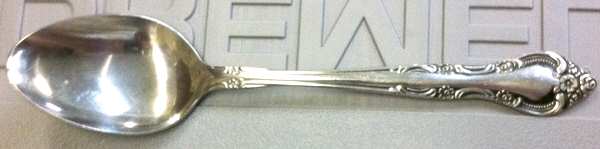 RDS201 (Stainless) Teaspoon