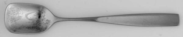 RTR42 (Stainless) Sugar Spoon