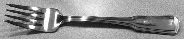 RXV17 (Stainless) Fork