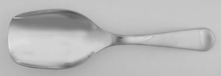 Caesna-Radford Bright (Stainless) Ice Scoop Solid Piece