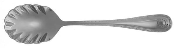 Montecito (Stainless) Sugar Shell Spoon