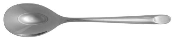 Parkway (Stainless) Teaspoon