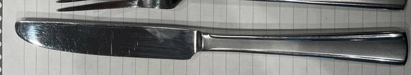 Chambelain (Stainless) New French Solid Knife