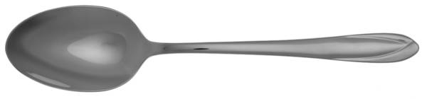 Dulaney (Stainless) Place/Oval Soup Spoon