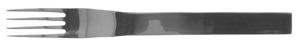 Asana (Stainless) Fork