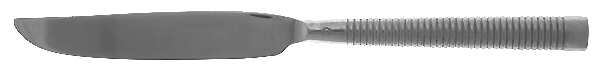 Galaxy (Stainless) New French Solid Knife