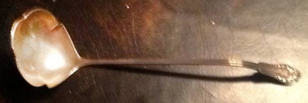 Rosebud (Sterling, 1903) Punch Ladle Solid Piece