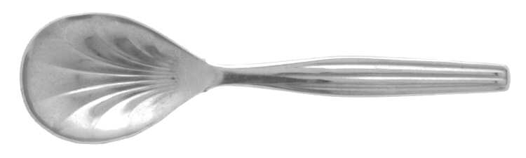 SFC2 (STAINLESS) Sugar Spoon