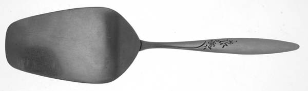 All Stainless Pie Server