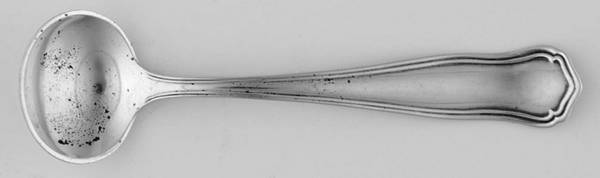 Winchester (Sterling, 1910) Master Salt Spoon