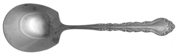Classic Rose Solid Smooth Casserole Spoon