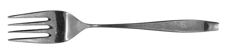 New Dawn (Stainless) Fork