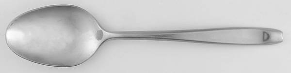 New Dawn (Stainless) Teaspoon