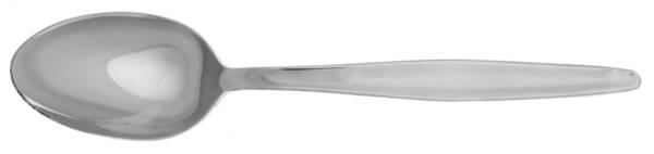 SOO5 (STAINLESS) Teaspoon