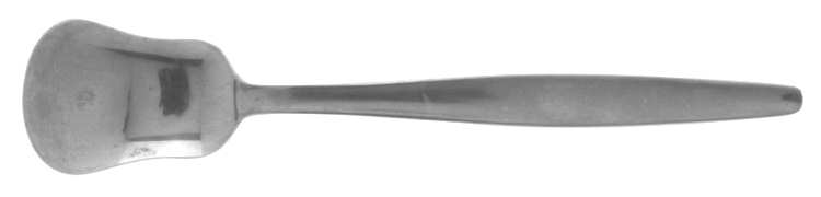 SOO5 (STAINLESS) Sugar Spoon