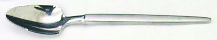 Astro (Stainless) Fruit/Orange Spoon