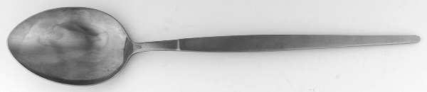 Astro (Stainless) Large Solid Dressing Spoon