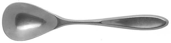 Caneel Bay (Stainless) Sugar Spoon