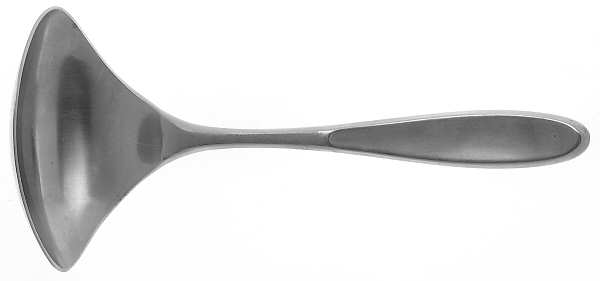 Caneel Bay (Stainless) Solid Gravy Ladle