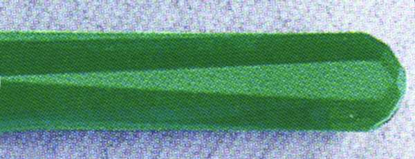 City Lights Dark Green (Stainless, Plastic) by Stanley Roberts