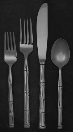 Citadel (Stainless) 4 Piece Place Setting