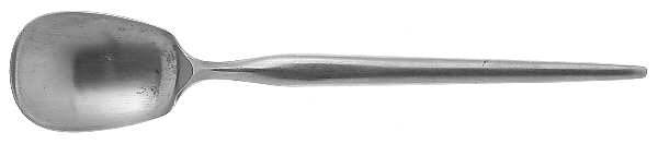 Comet (Stainless) Sugar Spoon