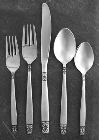 Danesmore (Stainless) 5 Piece Place Setting
