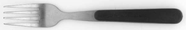 Fireworks-Black (Stainless, Plastic) Individual Salad Fork