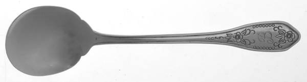 Kenwood (Stainless) Sugar Spoon