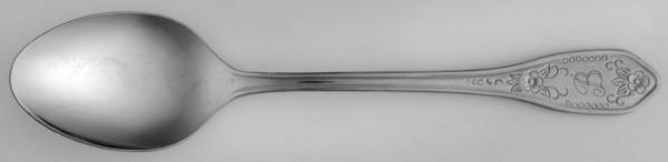 Kenwood (Stainless) Teaspoon