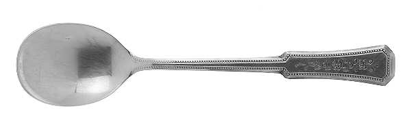 Landscape (Stainless) Sugar Spoon