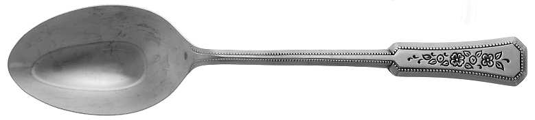 Landscape (Stainless) Place/Oval Soup Spoon