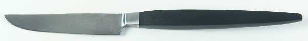 Modern Elegance (Stainless) Individual Fruit Knife with Stainless Blade