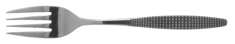 Montico (Stainless) Fork