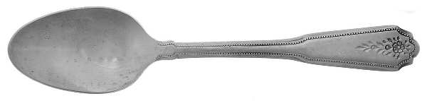 Norcrest-Brentwood (Stainless) Youth Spoon