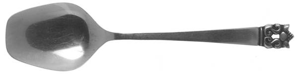 Roget (Stainless) Solid Serving Spoon