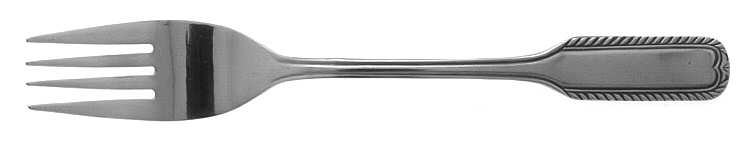 Salem (Stainless) Fork