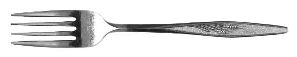 Sherwood (Stainless) Fork