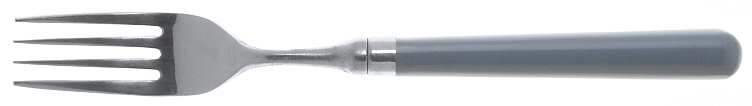 Spectrum-Slate Blue (Stainless) Fork