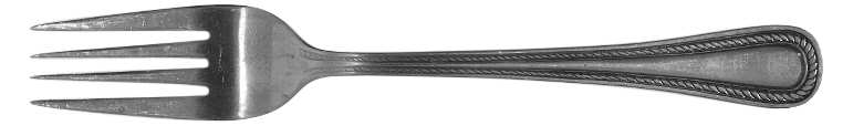 SRB102 (STAINLESS) Fork