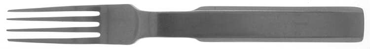Oblique (Stainless) Fork