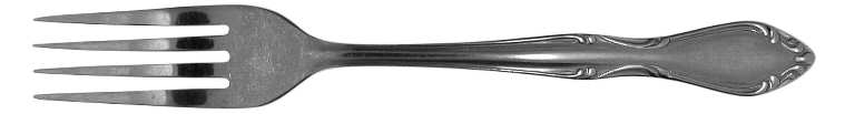 Srb132 (Stainless) Fork