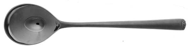 SRB142 (STAINLESS) Sugar Spoon