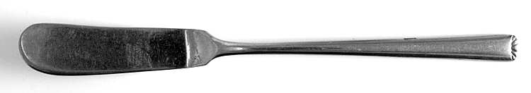 SRB144 (STAINLESS) Flat Handle Butter Spreader