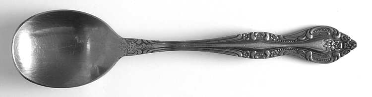 SRB145 (STAINLESS) Sugar Spoon