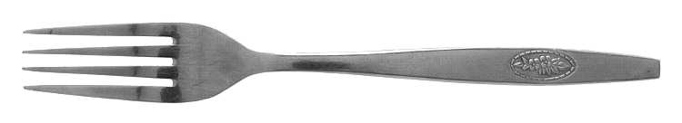SRB151 (STAINLESS) Fork