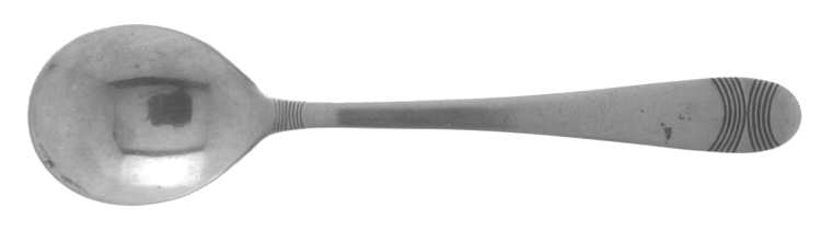 SRB155 (STAINLESS) Sugar Spoon